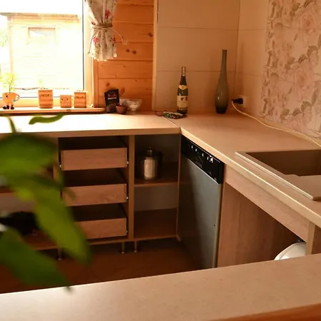 Guest house Faina House *