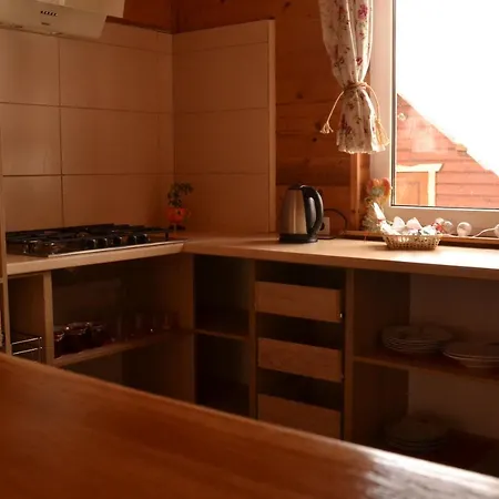 Faina House Yaremche