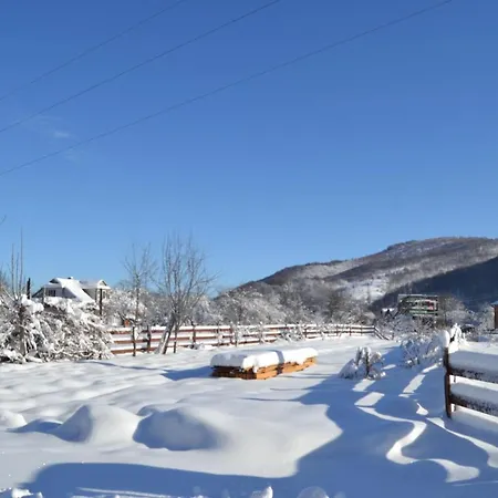 Faina House Guest house *