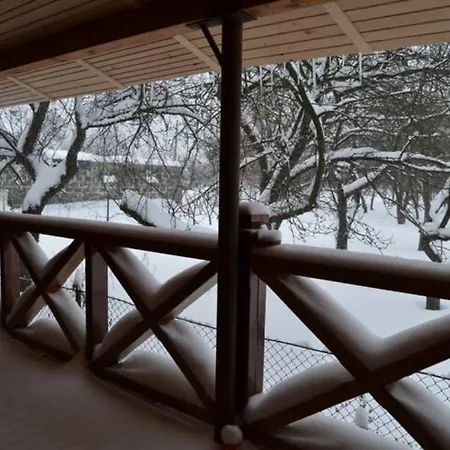 Guest house Faina House *