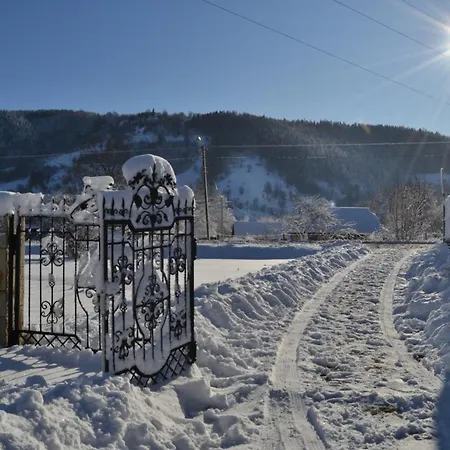 Guest house Faina House Yaremche