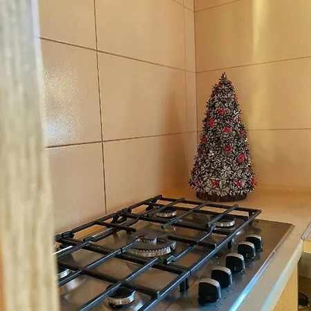 Guest house Faina House