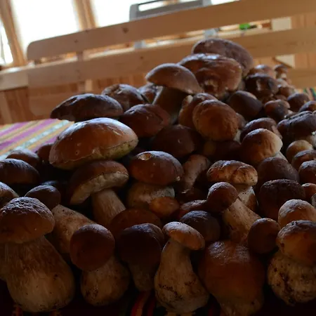 Faina House Guest house Yaremche